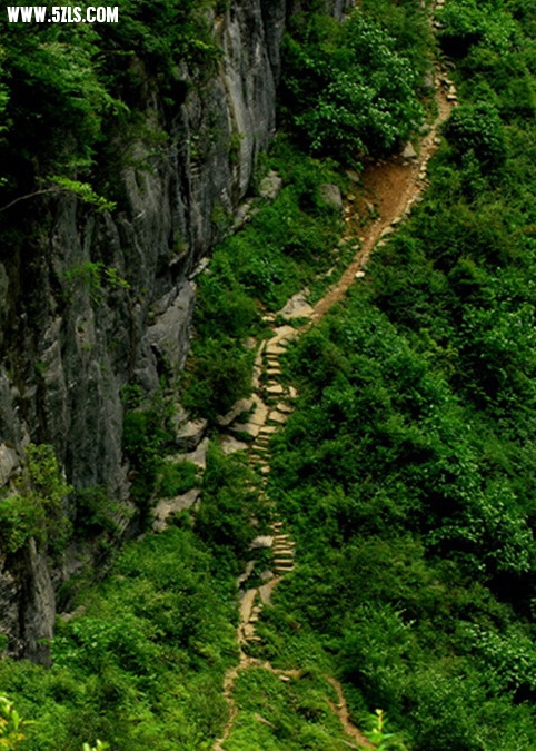 DSC_0229.JPG