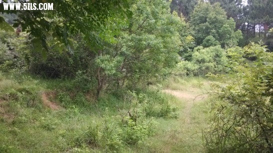 QQͼƬ20130626170244.jpg