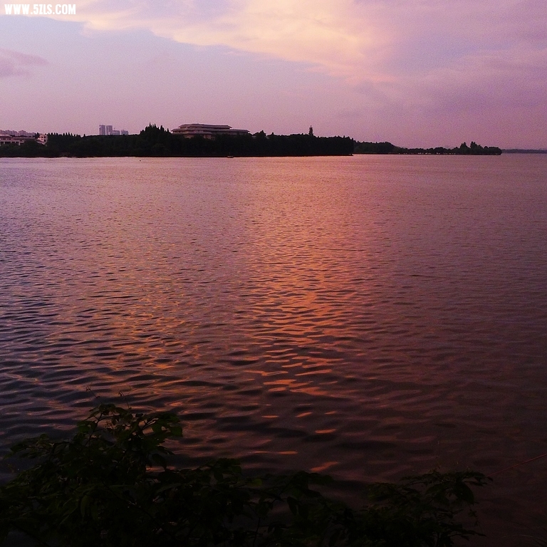P1060512.jpg