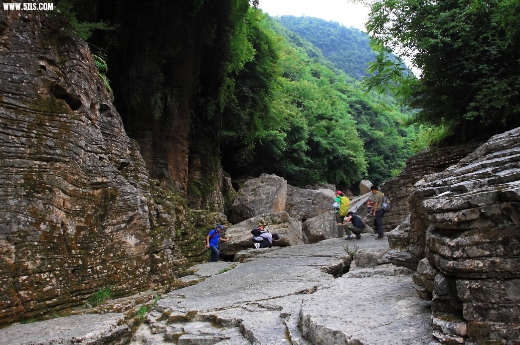 źӴ3.jpg
