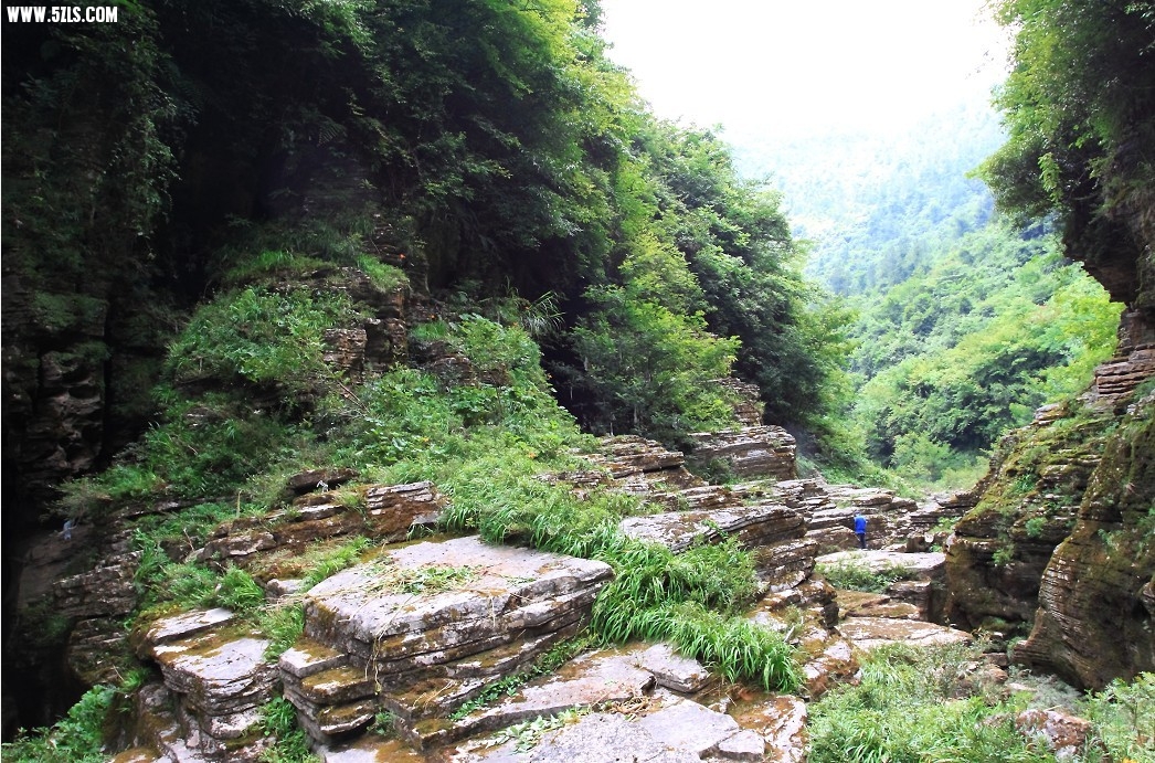 źӴ8.jpg
