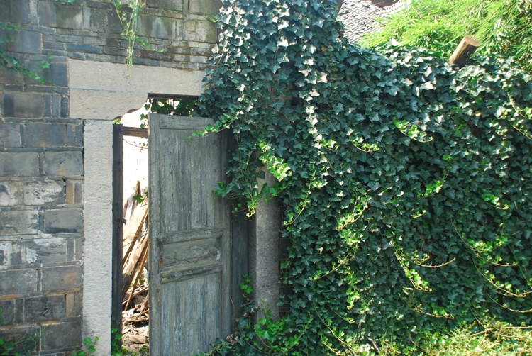 DSC_8510.jpg