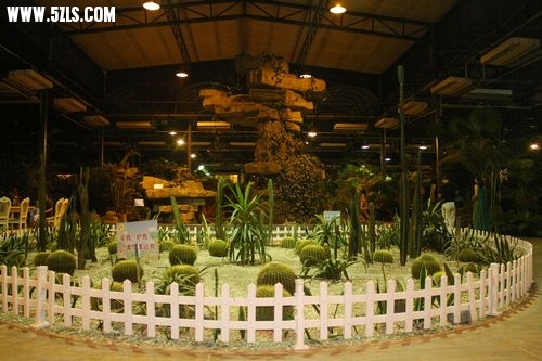 bailihuang 003.jpg
