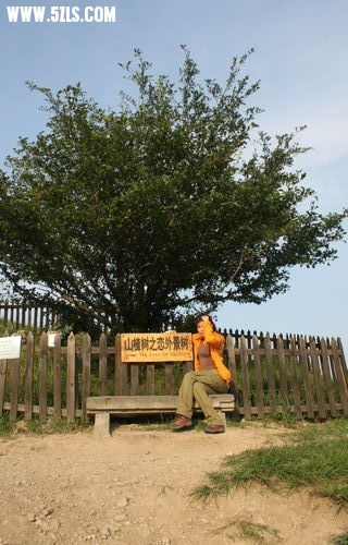 bailihuang 213.jpg