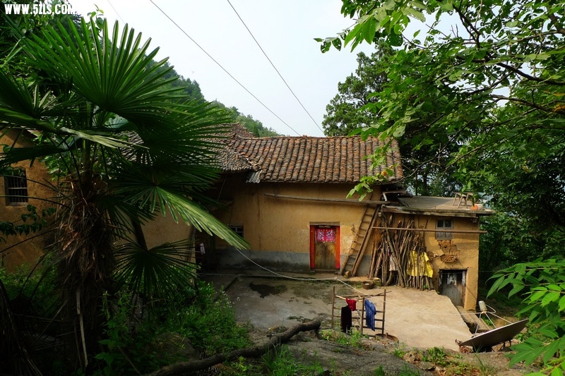 P1490103.jpg