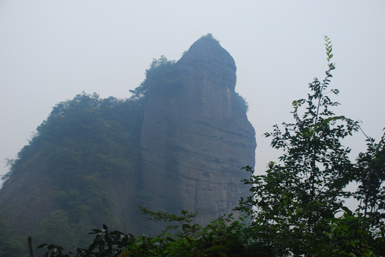 DSC_8619.jpg