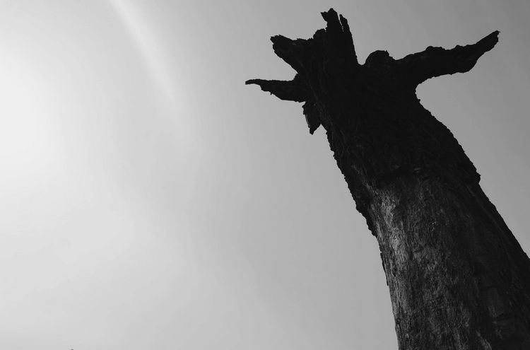 ĩҵ 139.jpg