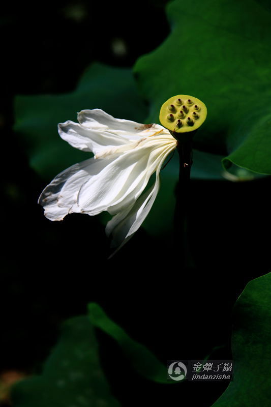 IMG_3753.jpg