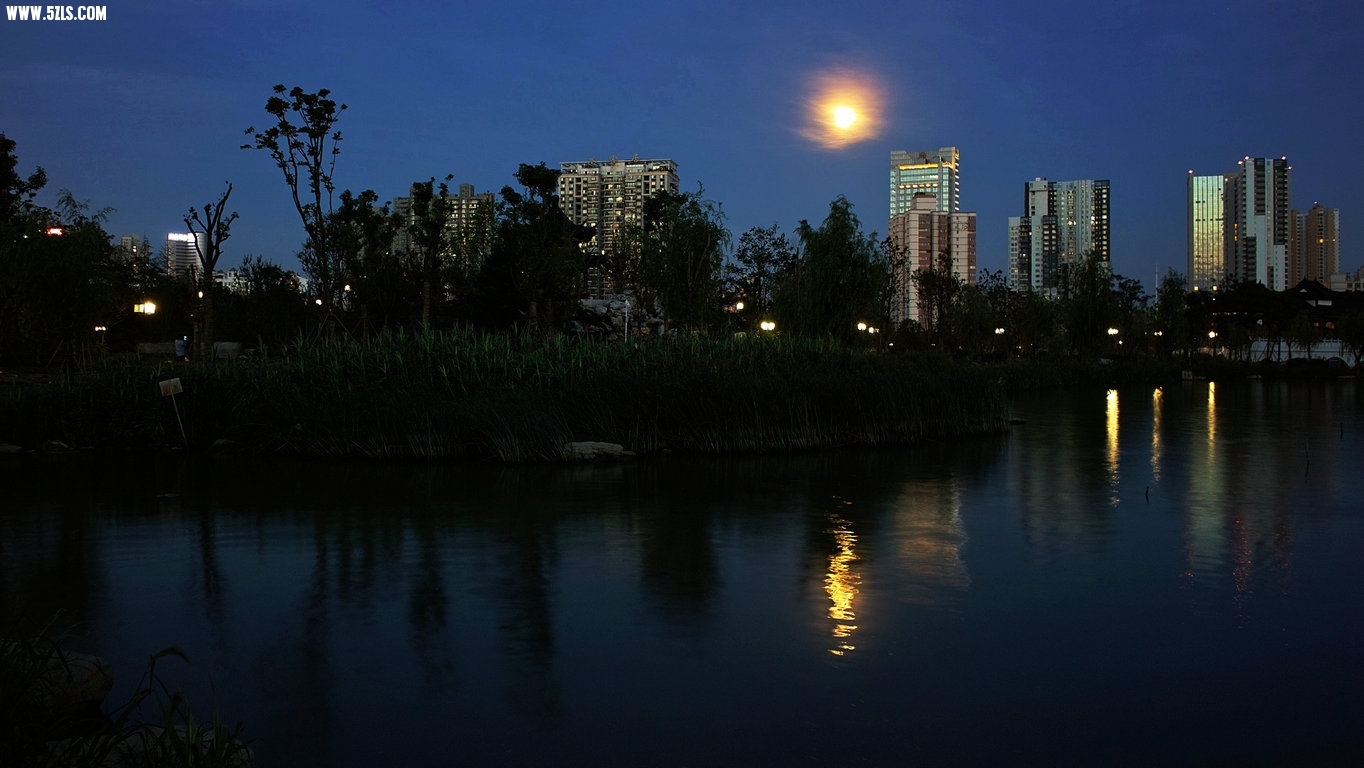 SDIM0090.jpg