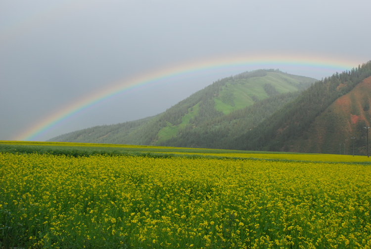DSC_8954.jpg