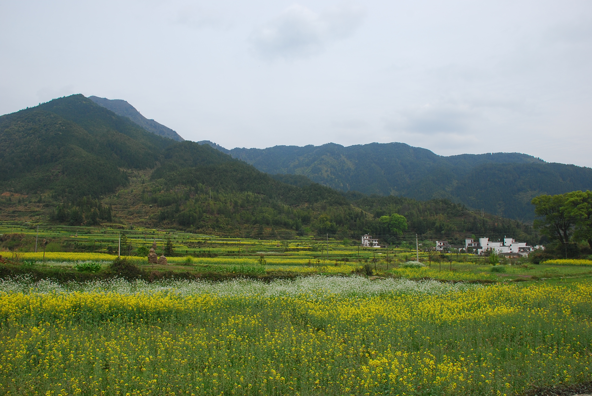 DSC_8666.JPG