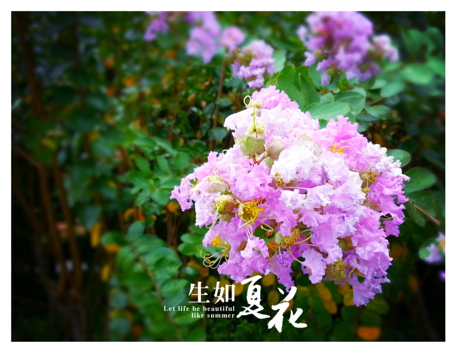 MA201307201350290049-41-251d01.jpg