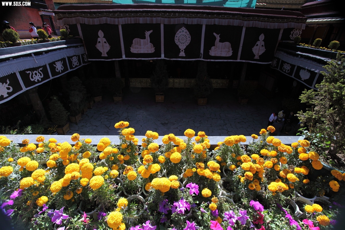 Сļ0044.JPG
