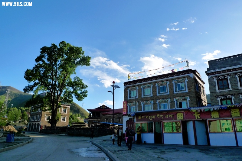 P1470300.jpg