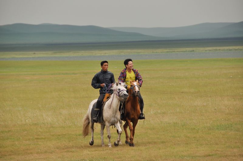 DSC_1201.jpg