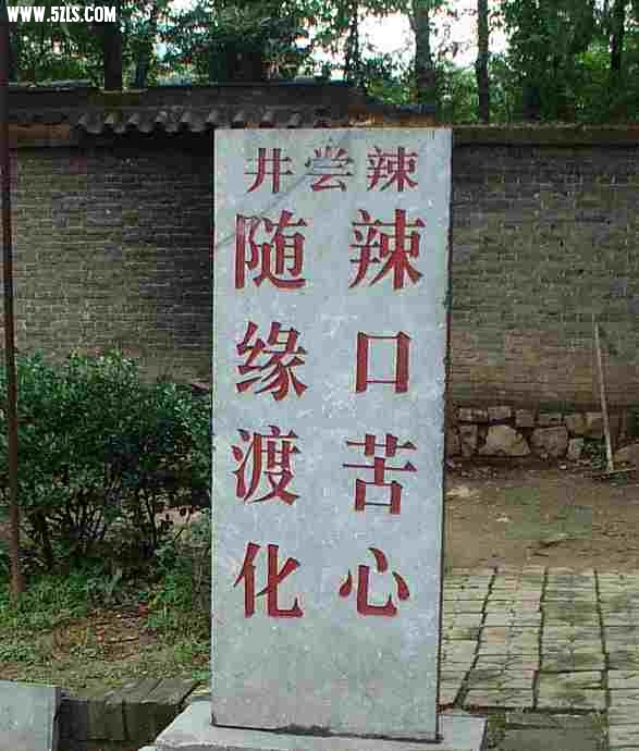 IMGP2953.jpg