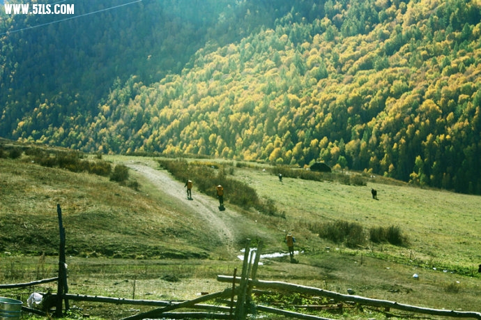0 (28).jpg