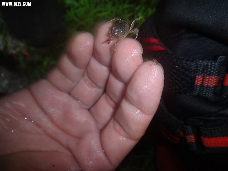 DSC02767_.jpg