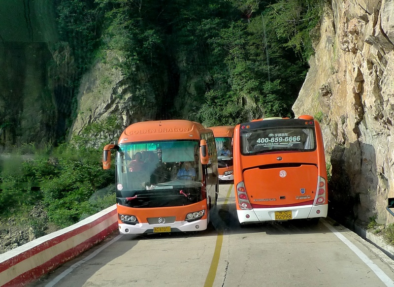 P1490643.jpg