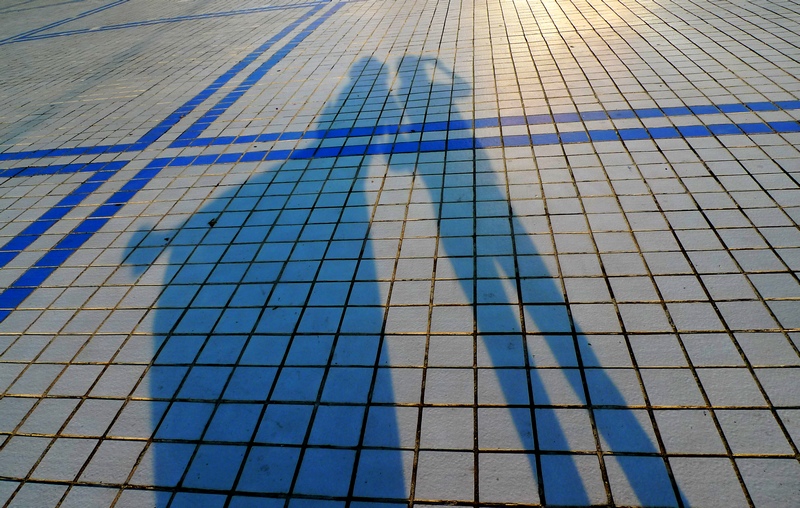 P1490631.jpg