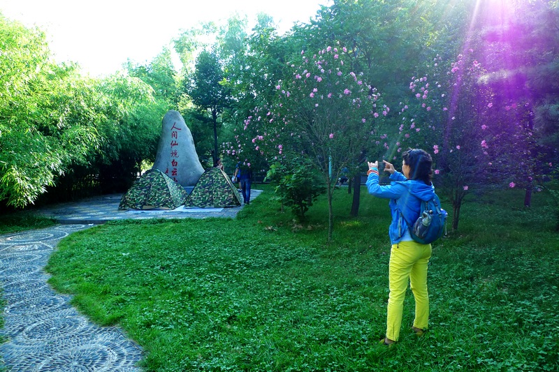 P1490658.jpg