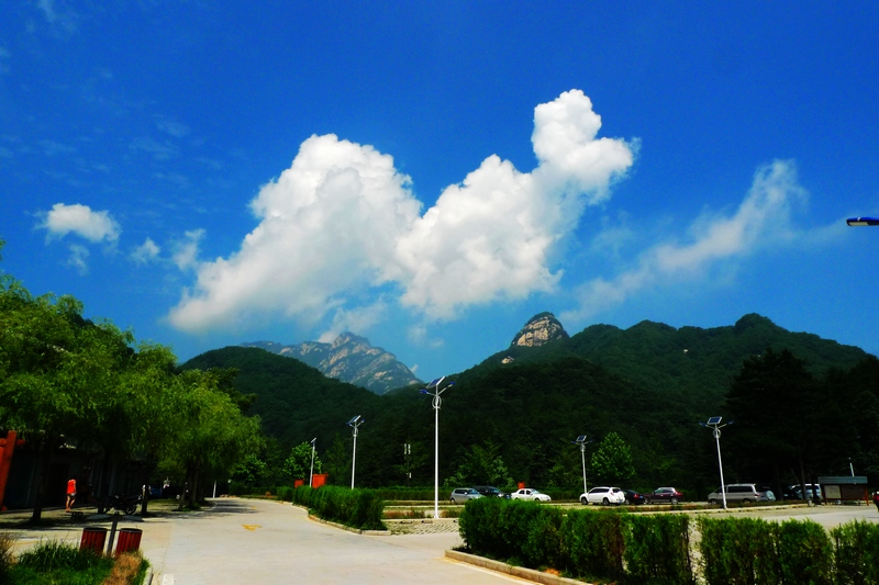 P1490718.jpg