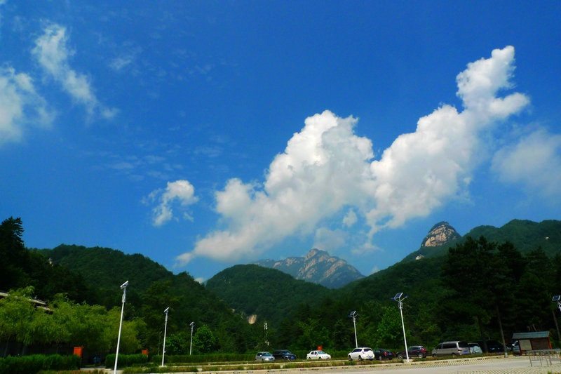 P1490722.jpg