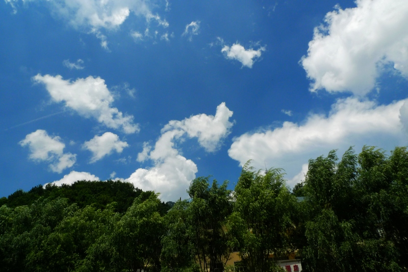 P1490750.jpg