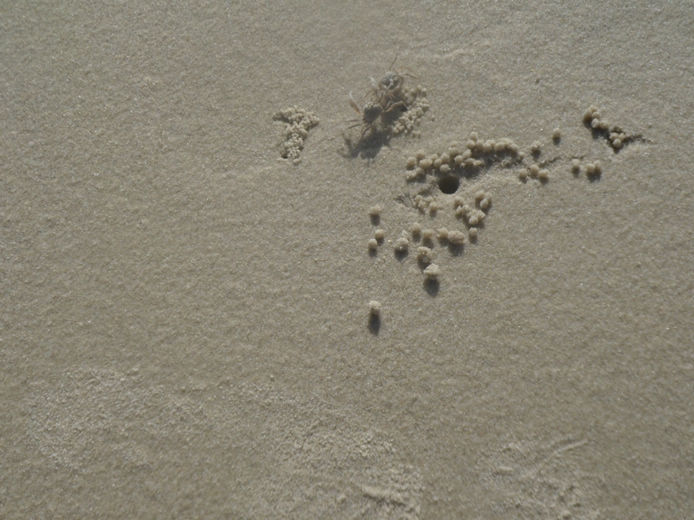 104.jpg