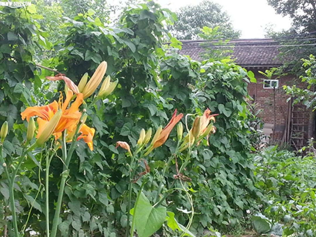 20130716_173154.jpg