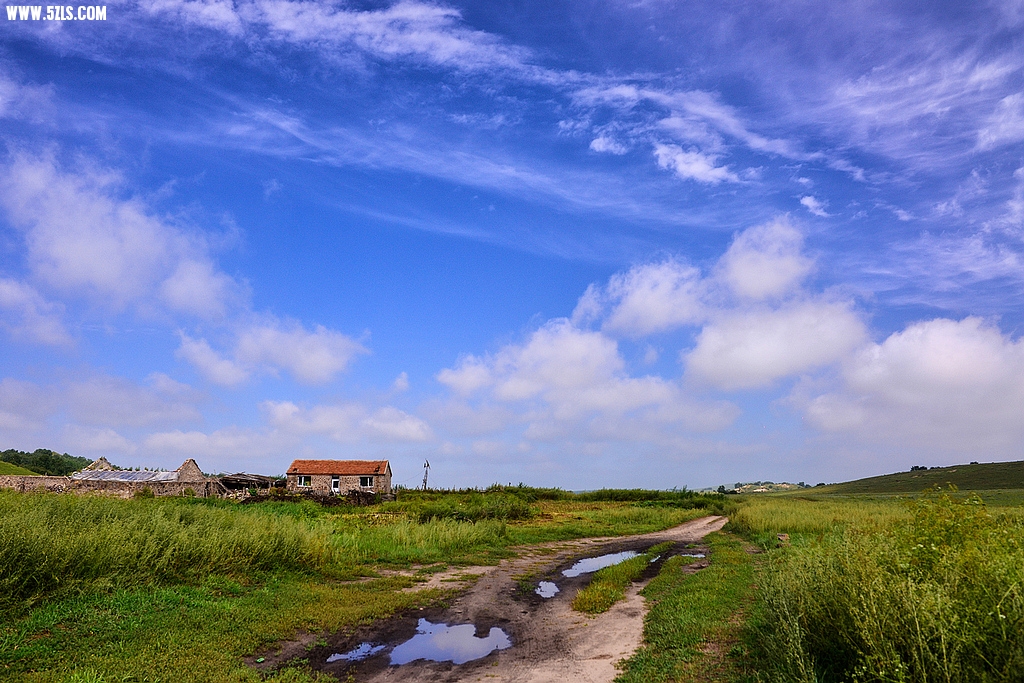 DSC_7219.jpg