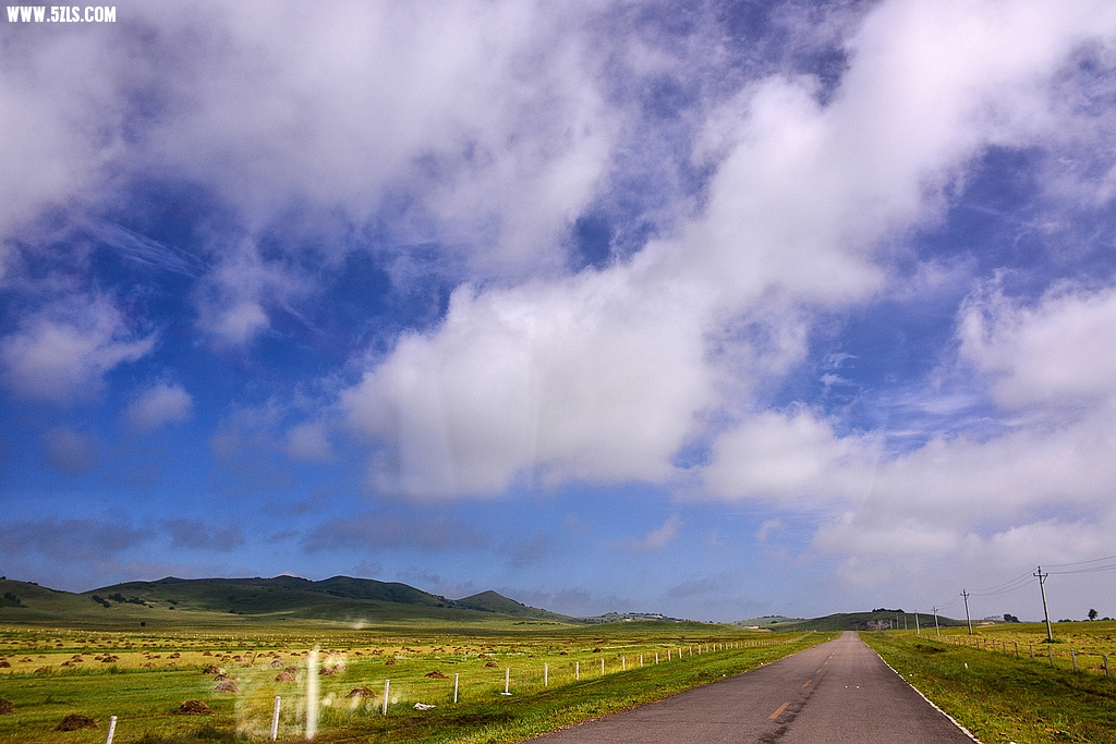 DSC_7236.jpg