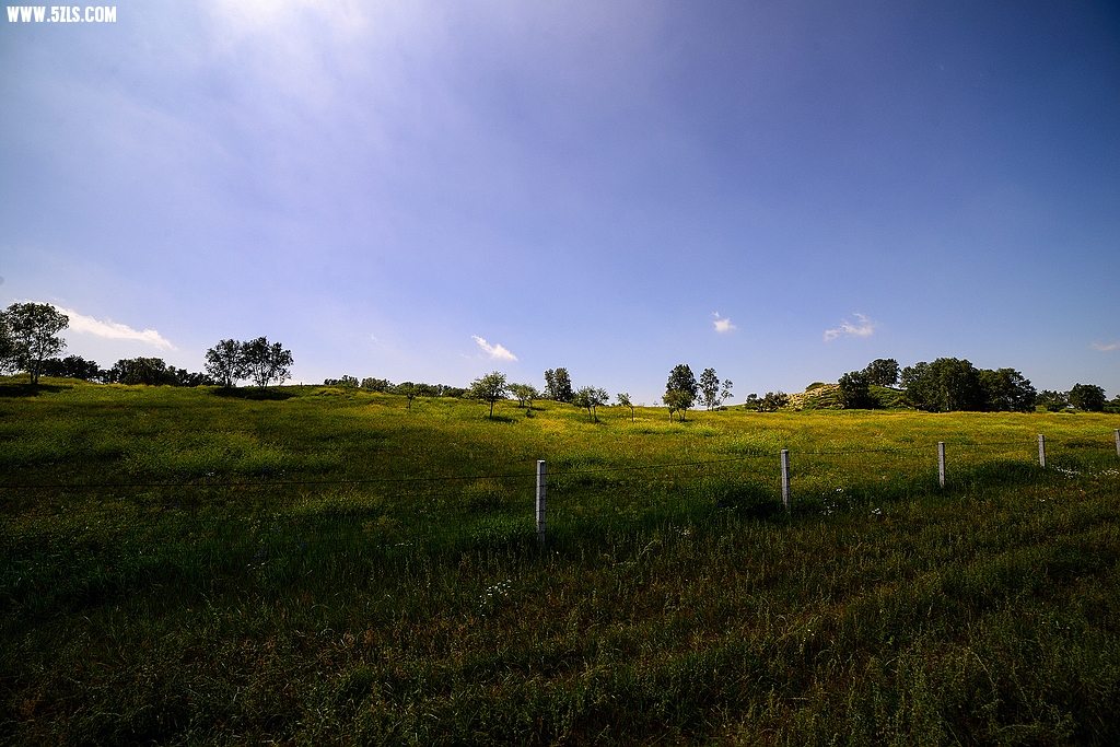 DSC_7350.jpg