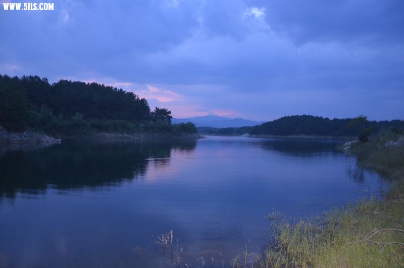 DSC_0516a.jpg