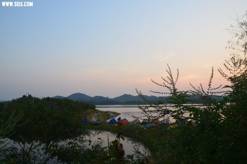 DSC_0540a.jpg