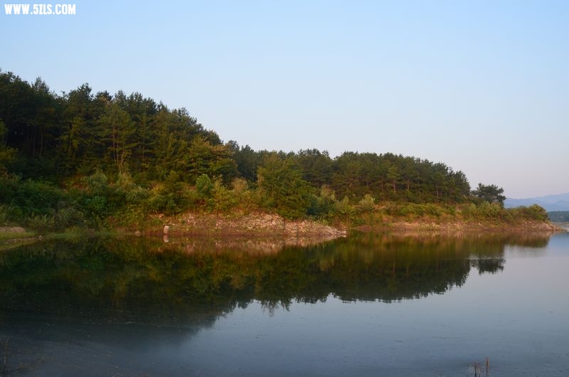 DSC_0572a.jpg