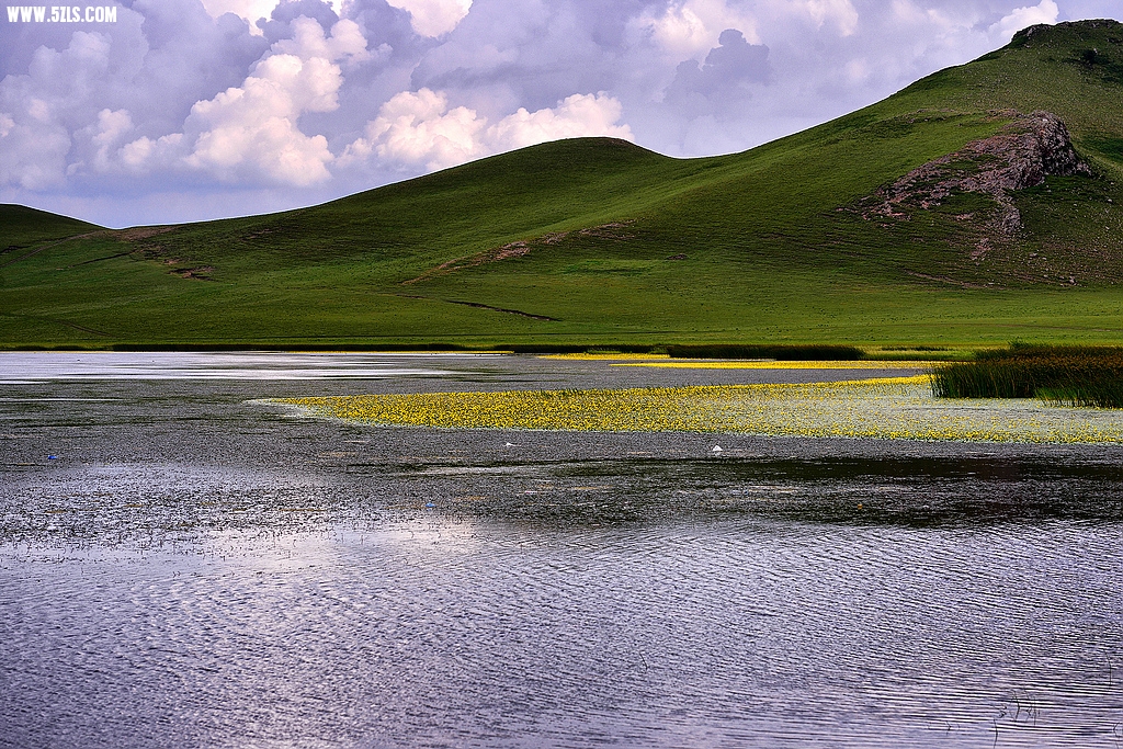 DSC_7556.jpg