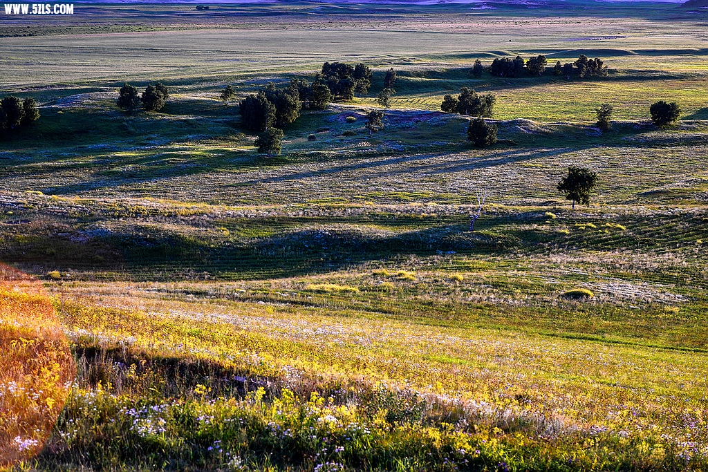 DSC_7716.jpg