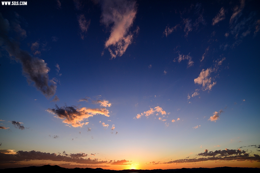 DSC_7782.jpg
