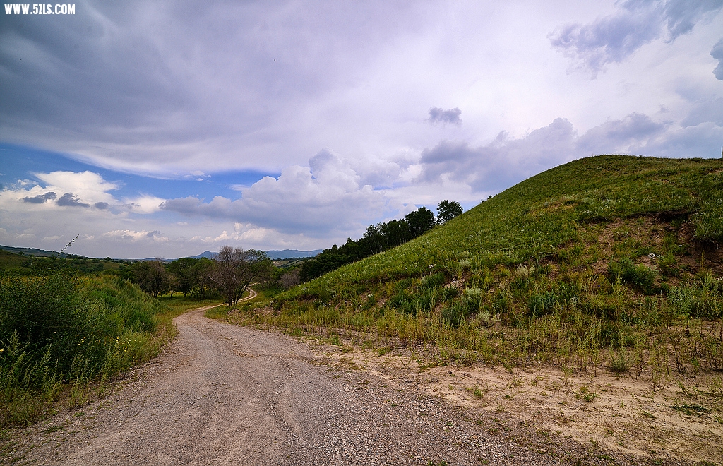 DSC_7873.jpg