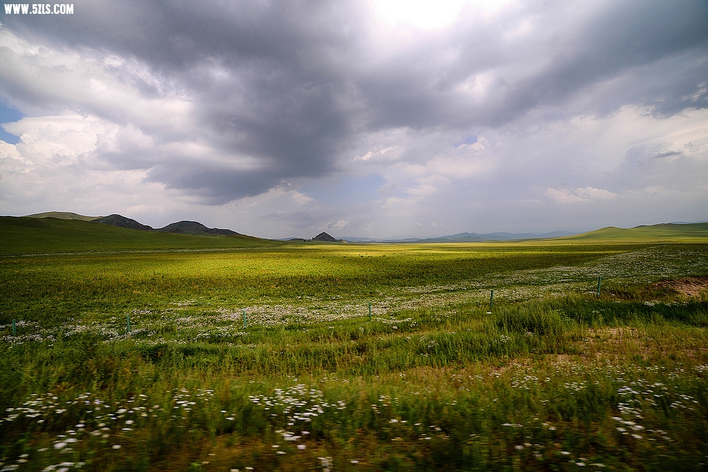 DSC_7877.jpg