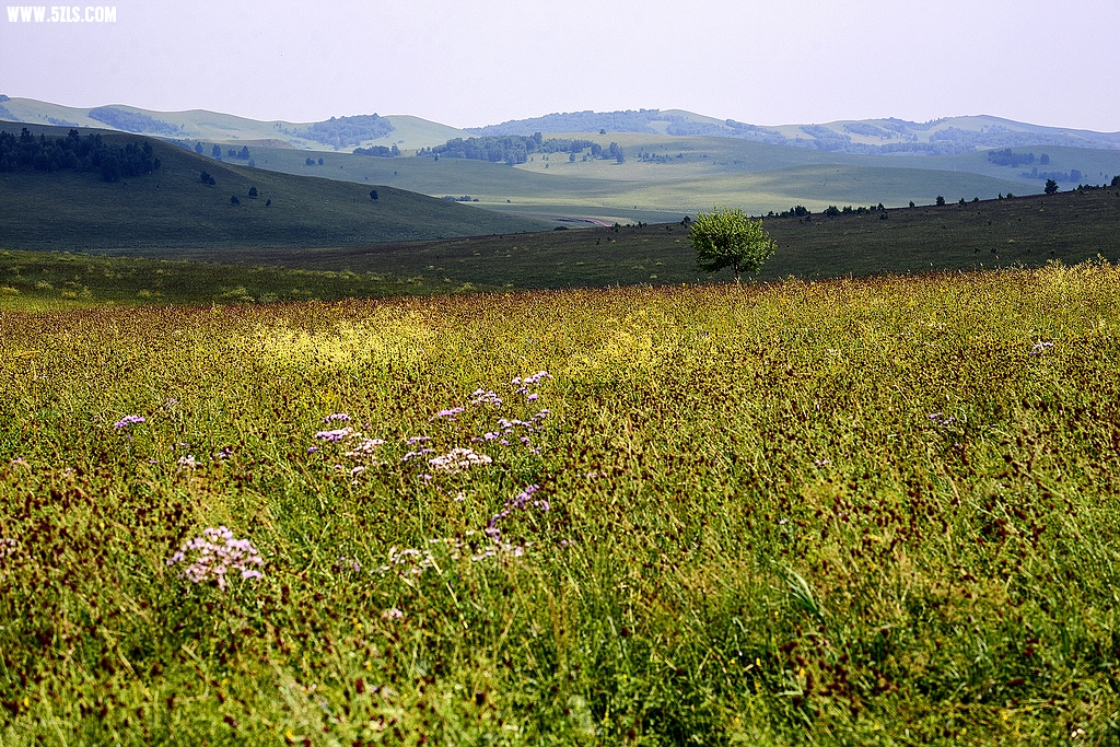 DSC_7897.jpg