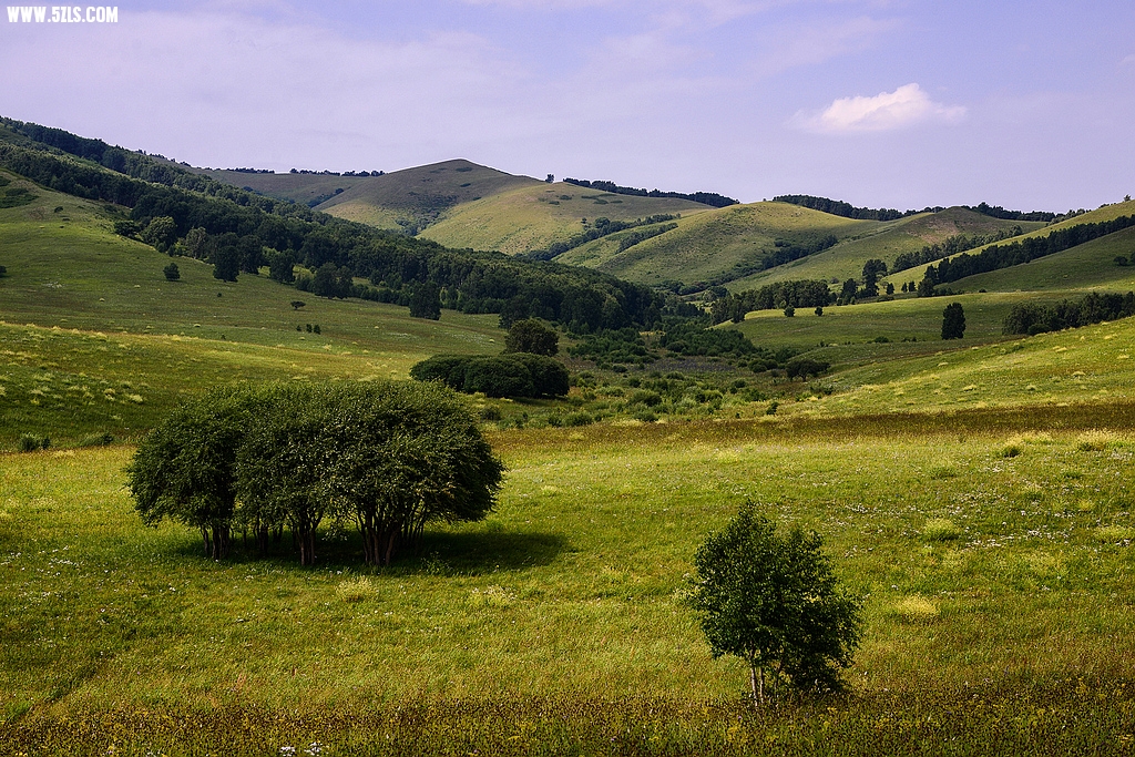 DSC_7903.jpg