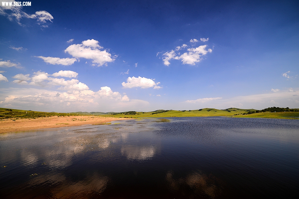 DSC_7938.jpg