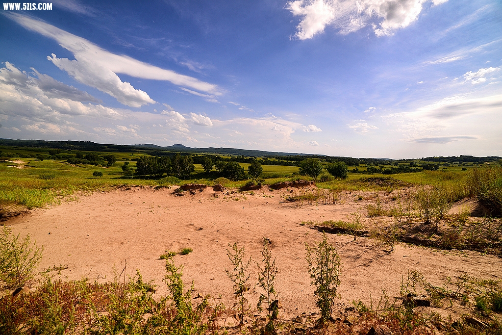 DSC_7953.jpg