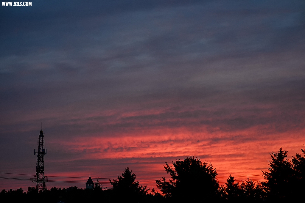 DSC_8036.jpg