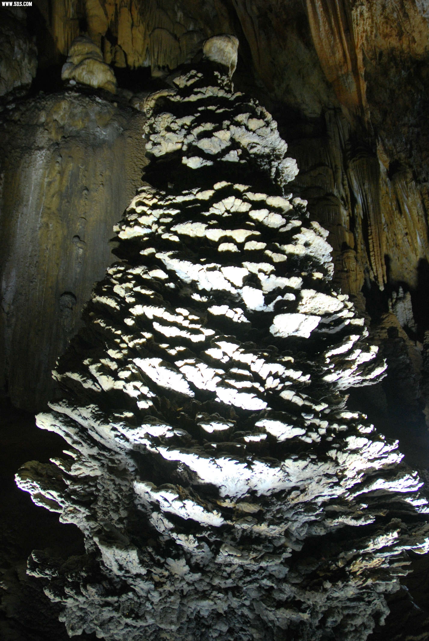 DSC_0808.JPG