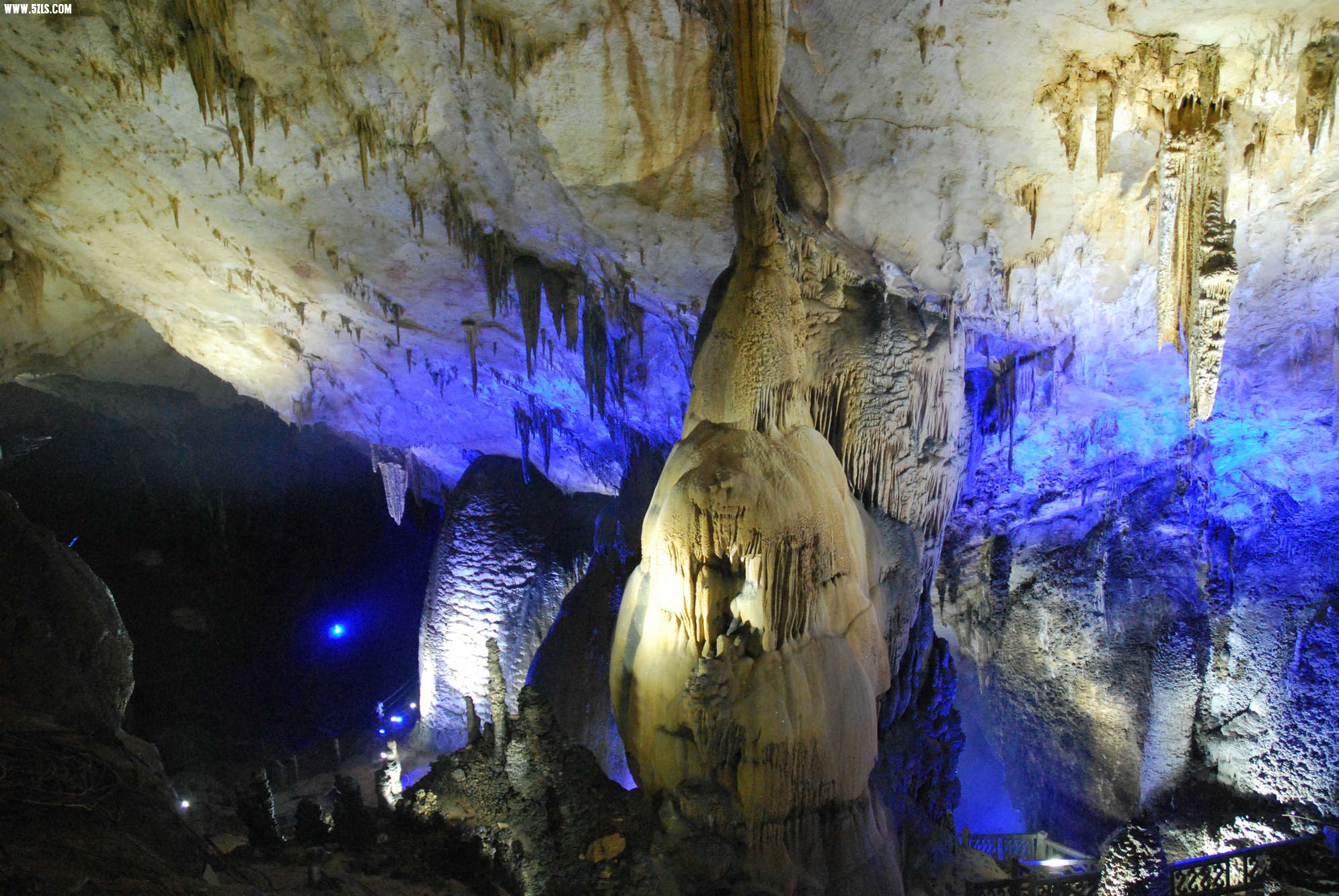 DSC_0882.JPG