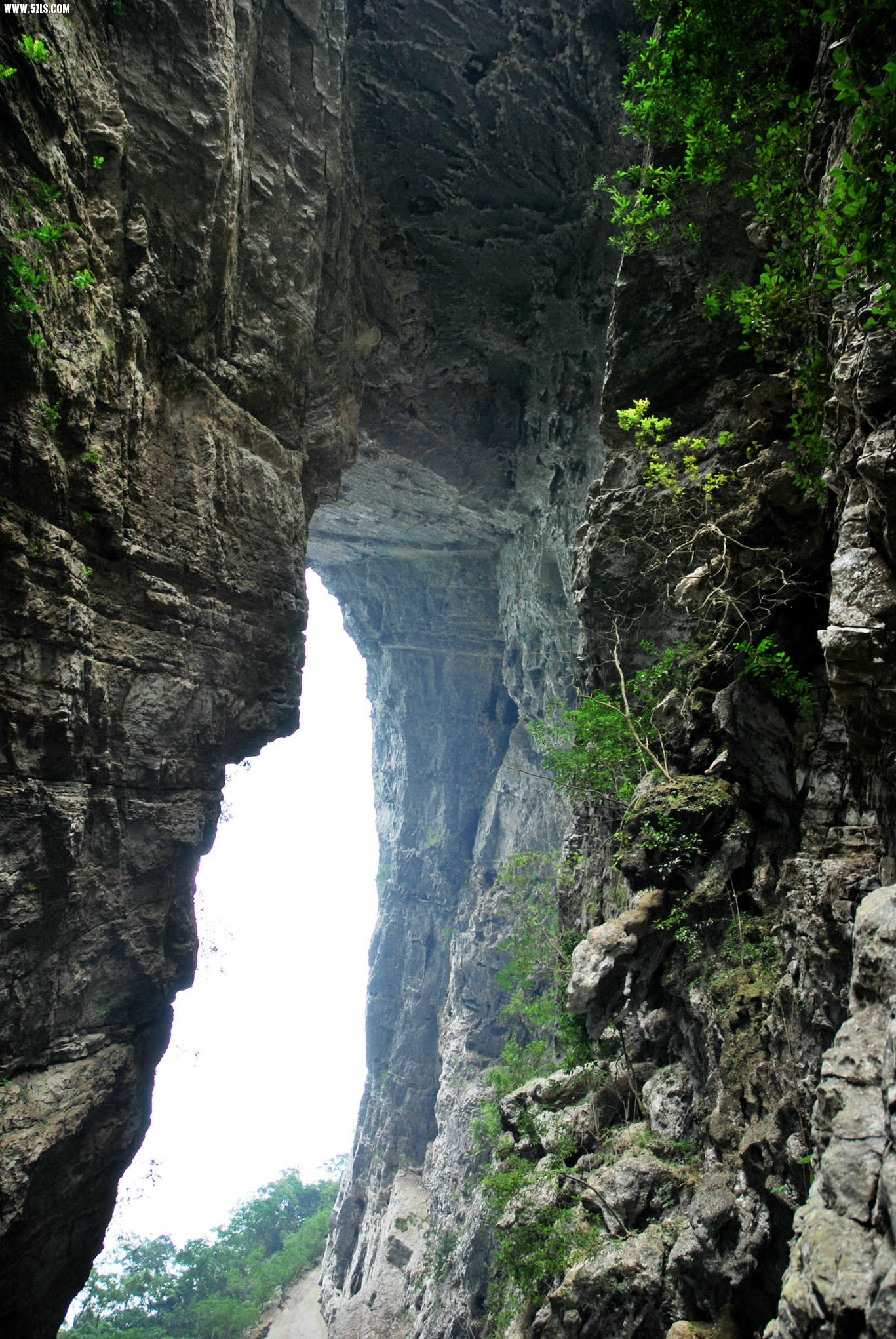 DSC_0359.JPG