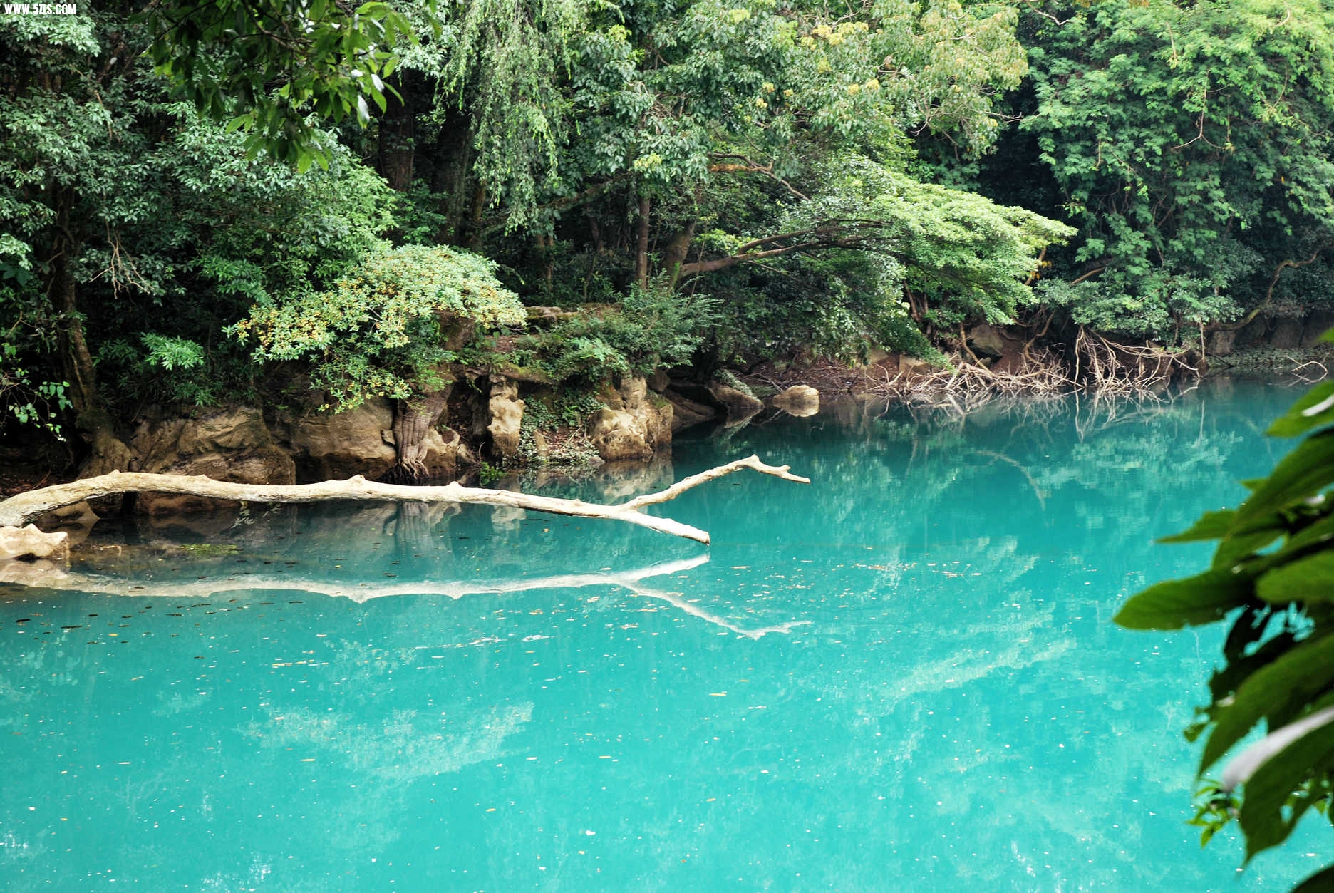 DSC_0479.JPG